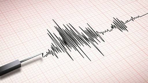 Delhi Jolted: Mild Quake Shakes Capital
