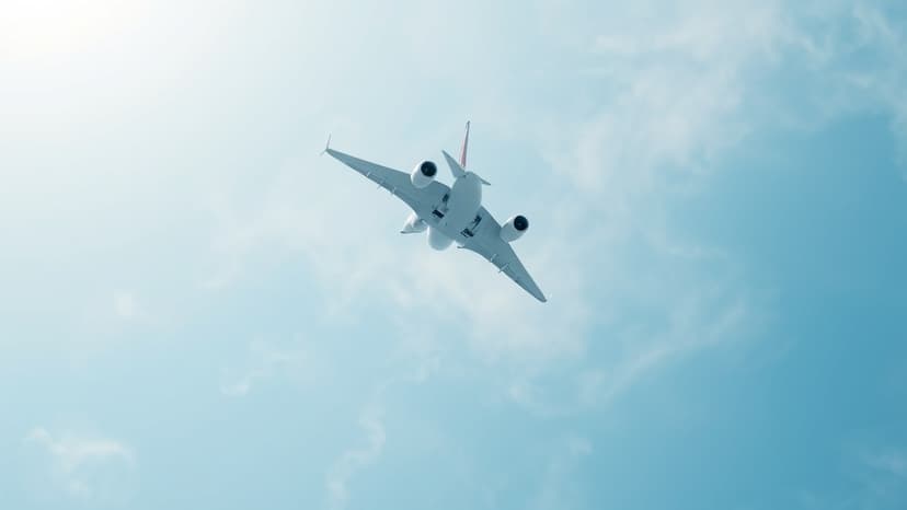 Delhi Fog Grounds Flights: Chaos at IGI Airport