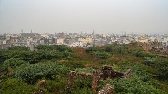 Delhi Forests to Get "Hanging" Gardens for Wildlife