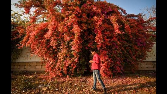 Delhi Heatwave: March Temperatures Soar Unseasonably High