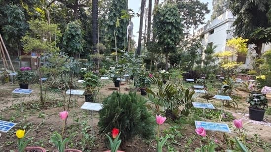 Delhi University Launches India's First Carbon Garden
