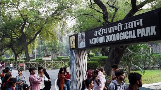 Delhi Zoo Jackal Death: Inquiry Finds No Burn Evidence