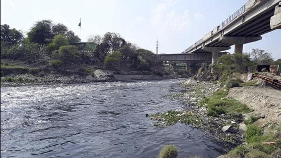 Delhi's choked Najafgarh drain gets an ambitious clean-up