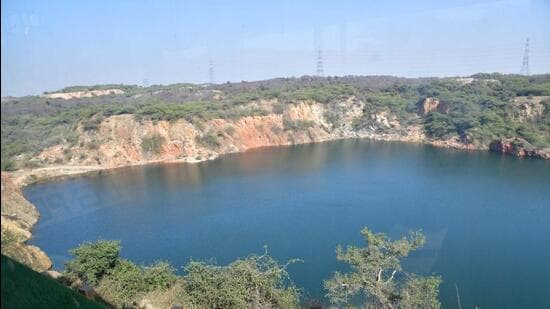 Delhi Lake's Endangered Species May Earn Ramsar Status