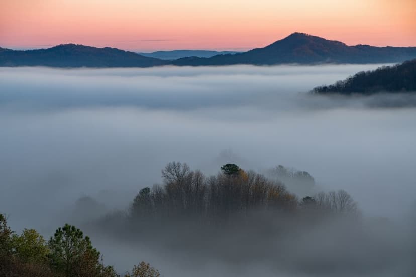 Dense Fog Blankets Central Alabama: Drive Safely!