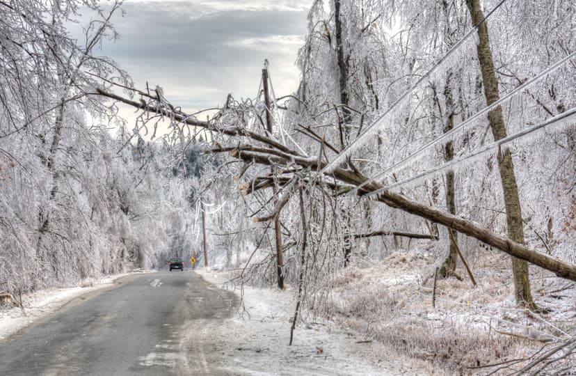 Ice Storm Alert: Up to 1.5 Inches of Destructive Ice Expected
