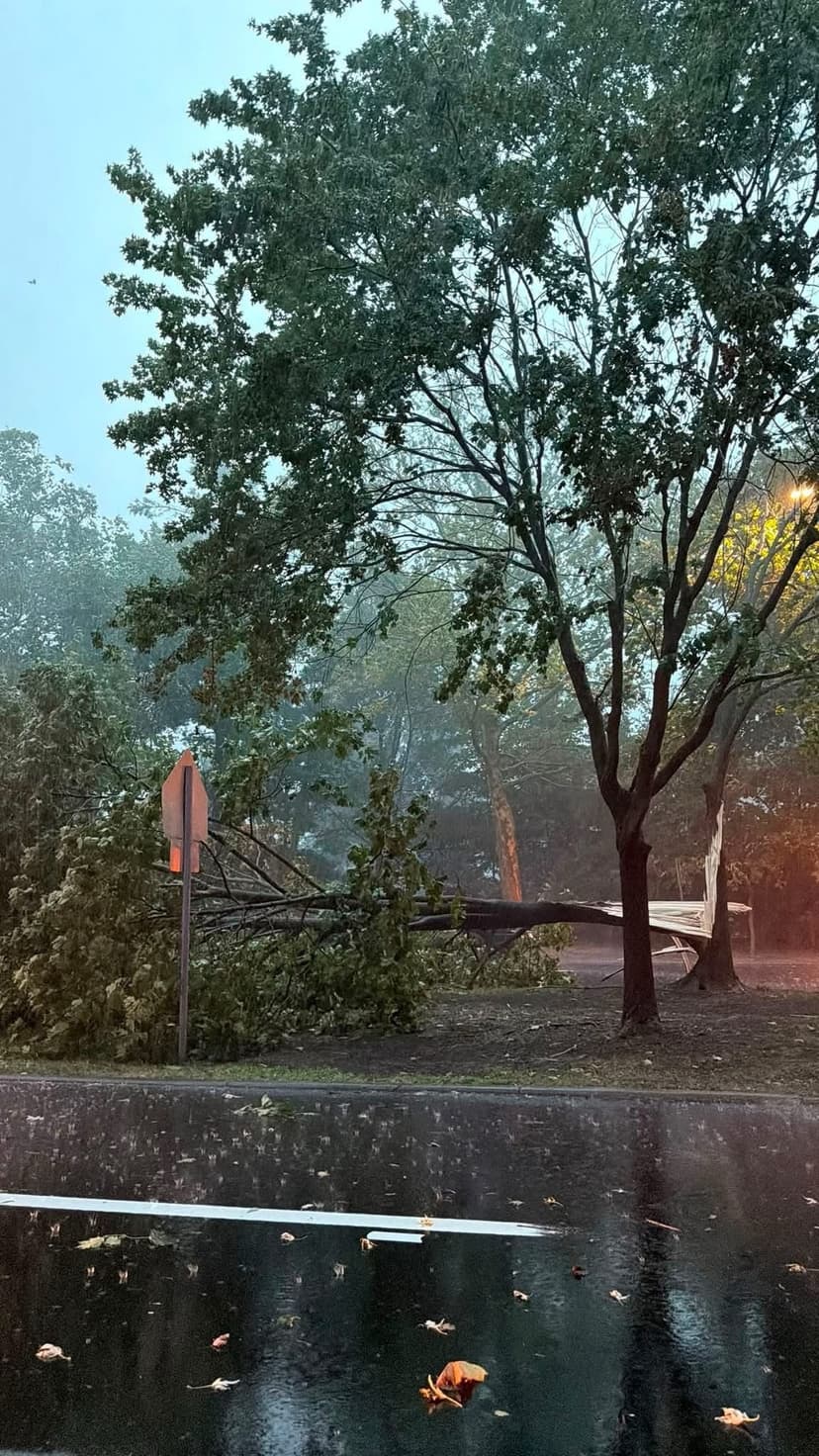 Tornado or Winds? Detroit Scrutinizes Storm Damage