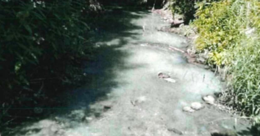 Sausage Casing Firm Fined for Fish Kill