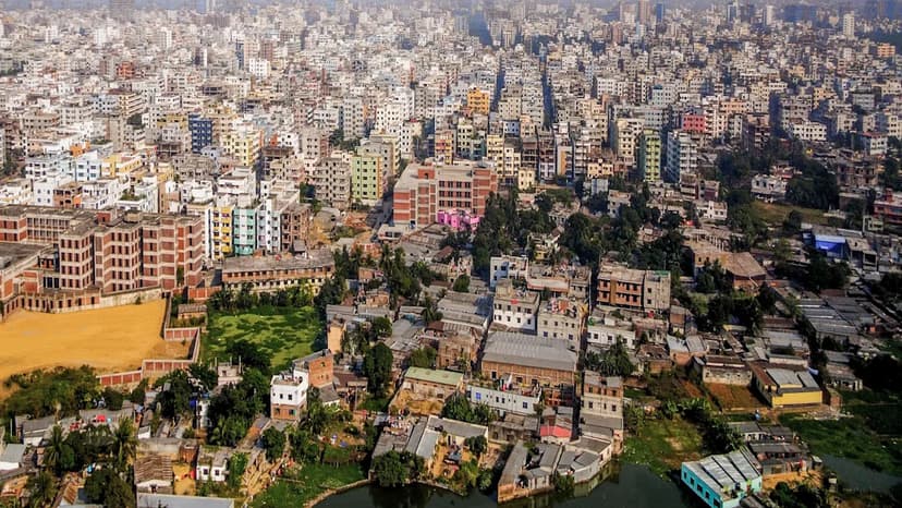 Dhaka's Venomous Visitors: Urban Sprawl Fuels Snake Surge