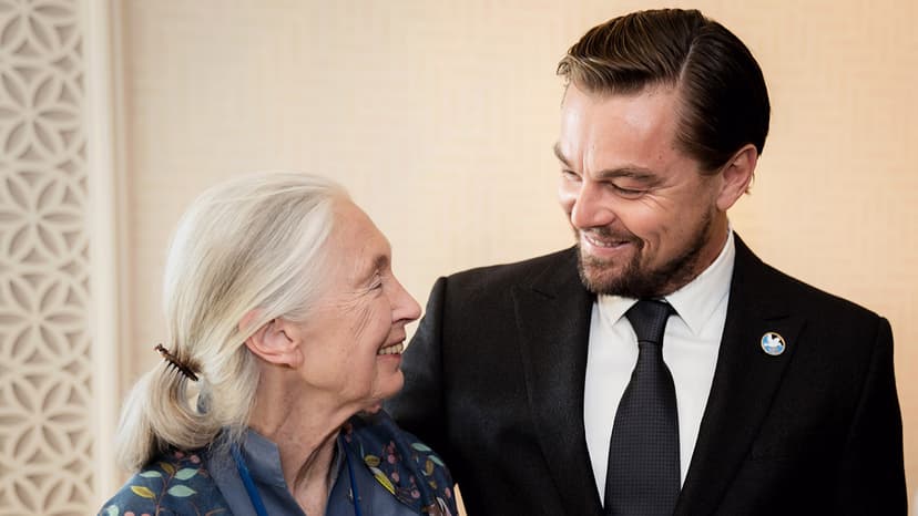 DiCaprio Honors Environmental Trailblazer Jane Goodall at Memorial