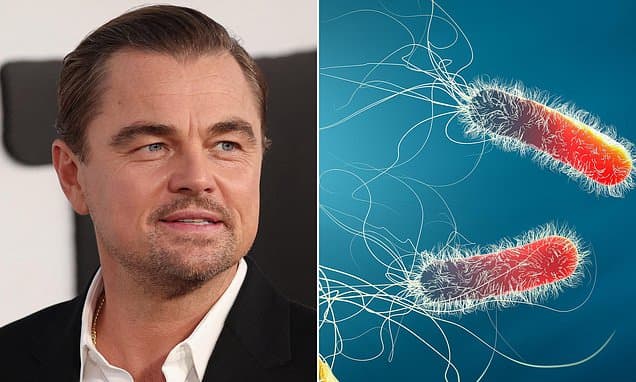 DiCaprio's Pneumonia Scare: Star Recovers from Lung Infection