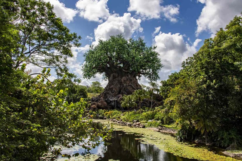 DinoLand USA Closes Doors Forever at Disney's Animal Kingdom
