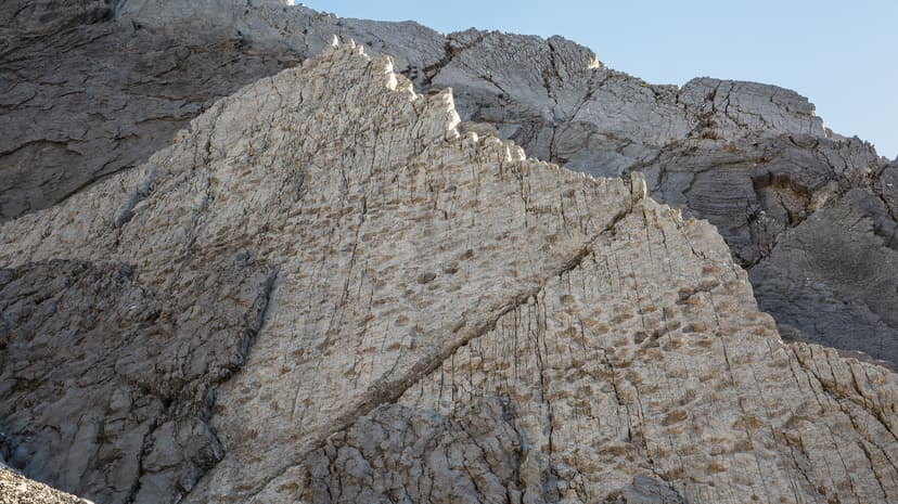 Dinosaur Footprints: Italian Alps Yield 200M-Year-Old Discovery