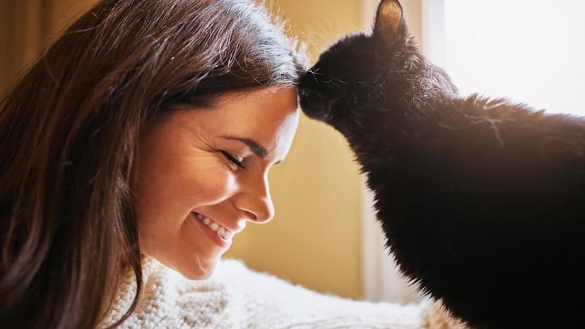 Disabled Cat's Pure Love Melts Hearts