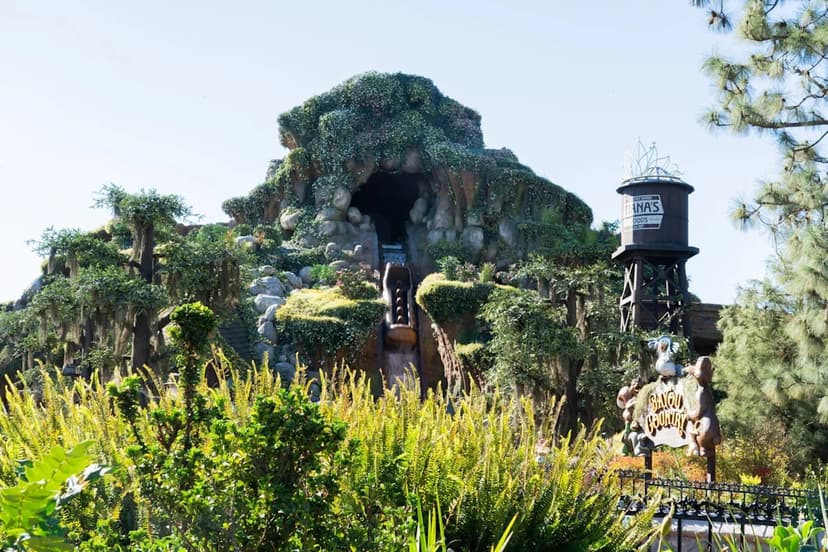 Disneyland Ride Halted After Guest Exits Early