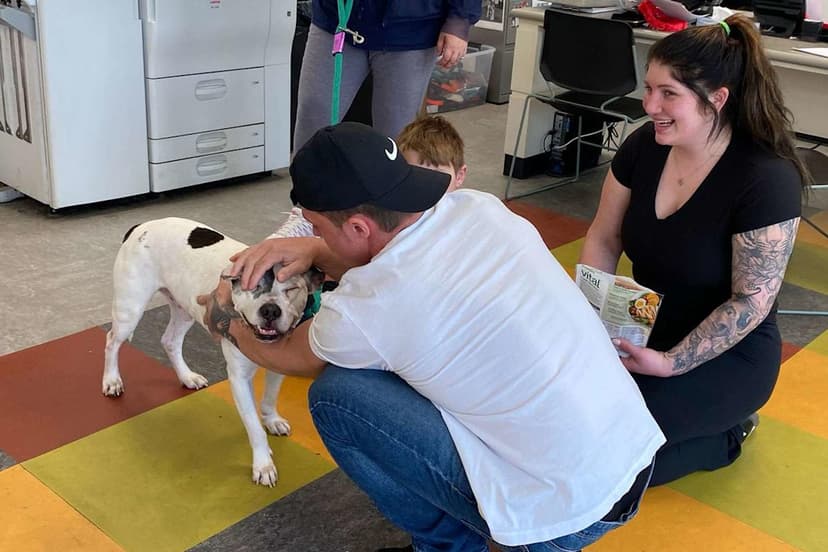 Miracle Reunion: Dog Returns Home After 11 Years