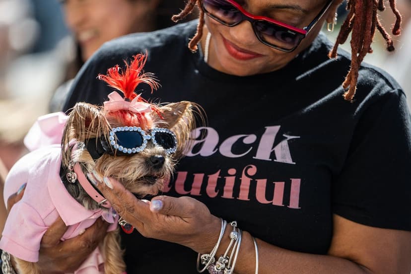 Dog Gut Bacteria Linked to Cancer Survival