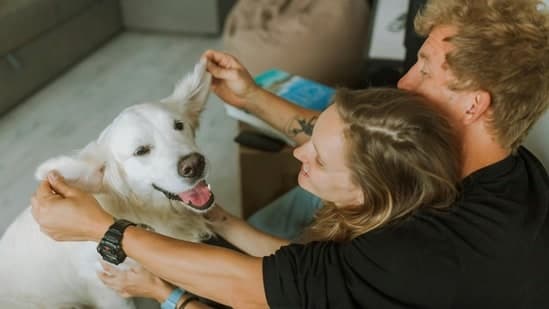 New Dog Pill Aims to Extend Canine Lifespan