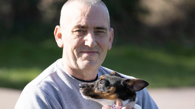 Dog Thefts Soar: Ex-Soldier Risks Life for Stolen Pets
