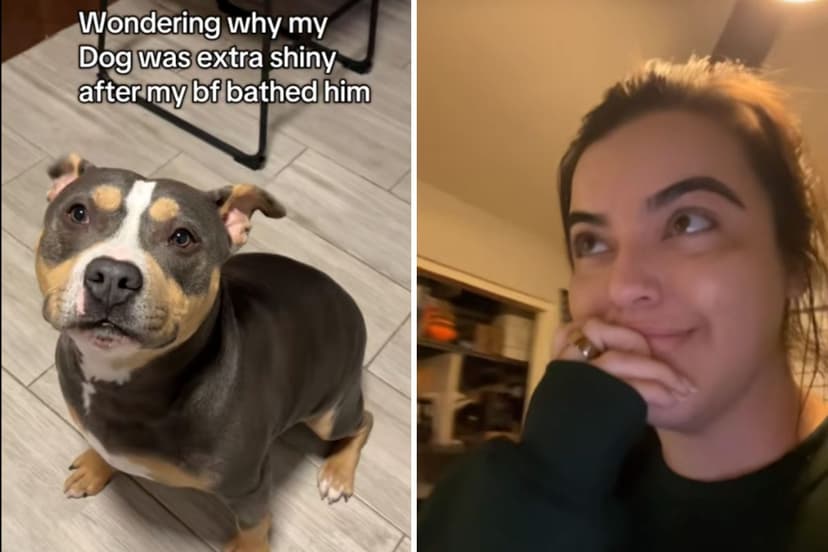 Boyfriend Washes Dog With $50 Shampoo, Owner Reacts