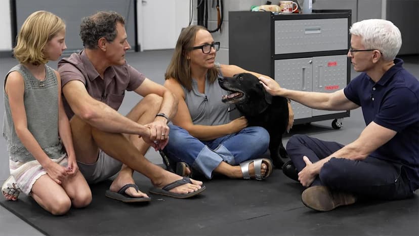 Dog's Dementia Study Unlocks Human Health Secrets