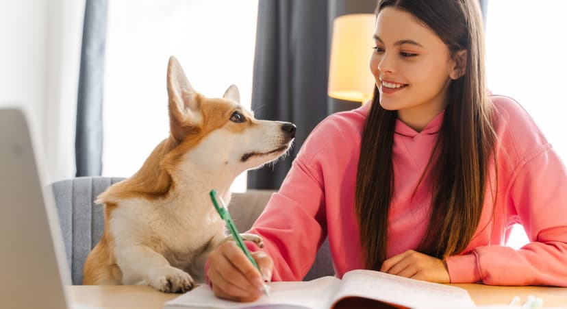 Female Dogs Judge Your Competence, Study Finds