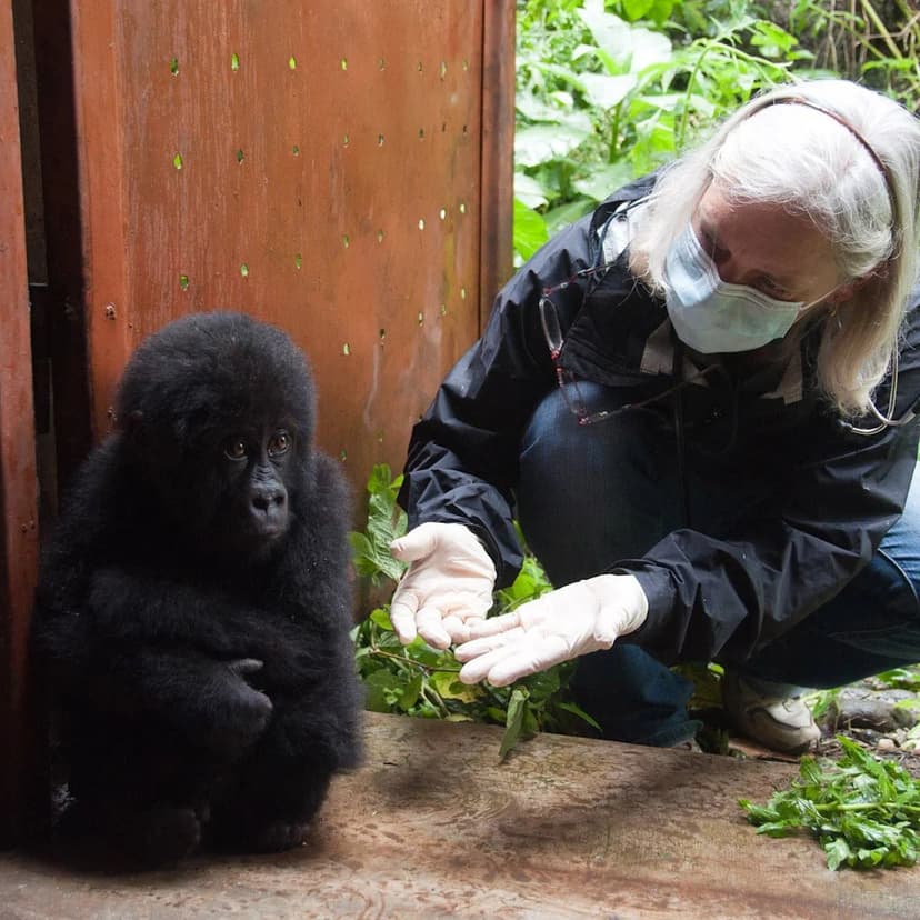 Conservationist's Journey: Zookeeper to Vet to Leader