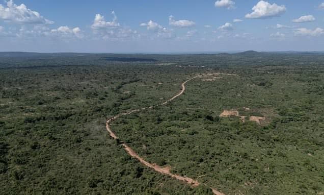 DRC Forests Face Mining Scramble