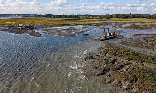Dredged Mud Revives Dying Saltmarshes