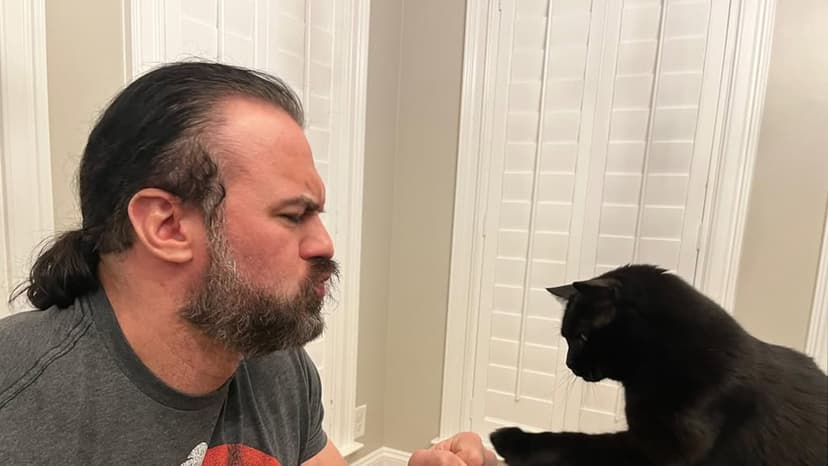 McIntyre Mourns Beloved Pet Cat, Chaz