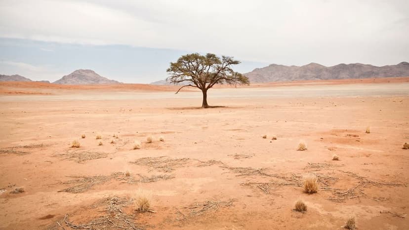 40% of Earth to Turn Dry by 2100?
