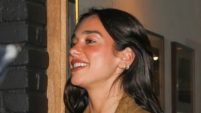 Dua Lipa's Sheer Feathered Dress Stuns in LA