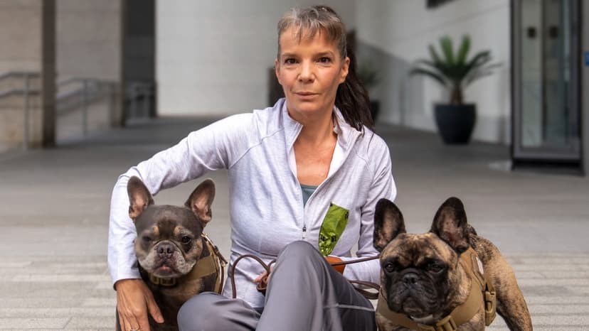 Dubai Expats Flee, Abandon Pets Amidst Drone Strikes