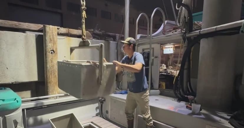 Whale Safety Delays Profitable Crab Harvest