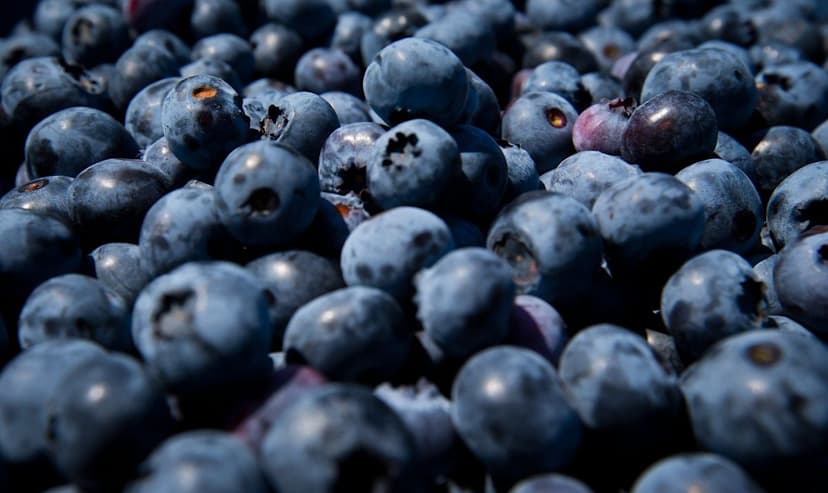 E. coli Alert: Berries Hit With Top Risk Warning