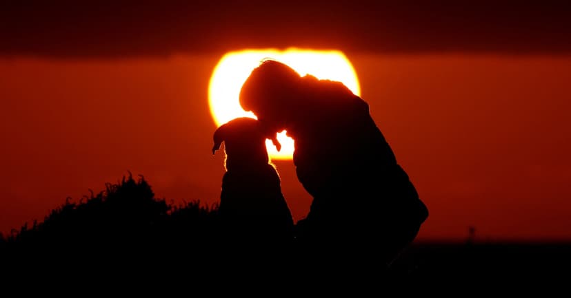 15,800-Year-Old Dog Bones Rewrite Canine History