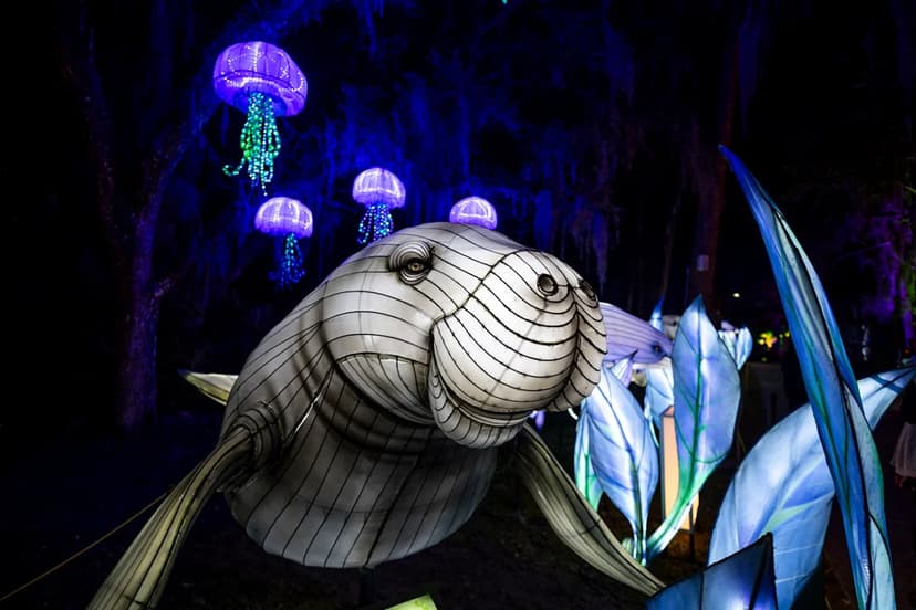 Central Florida's Early Holiday Magic Begins!