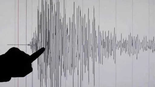 Ladakh Jolted: Multiple Earthquakes Shake Region