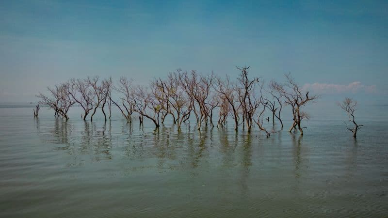 Earth's True Temperature Record Rewritten