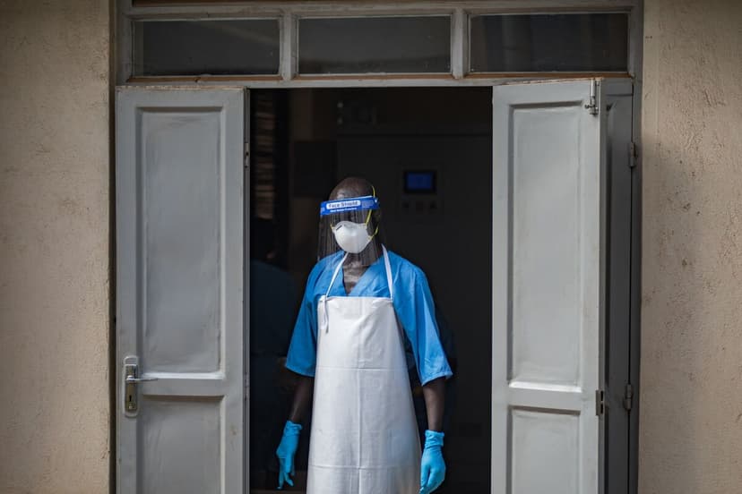 Ebola Drug Sparks Hope: Island Pharma Soars 47%