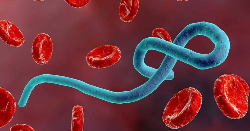 Ebola Reaches Nigeria: DRC Outbreak Spreads to Fifth Nation