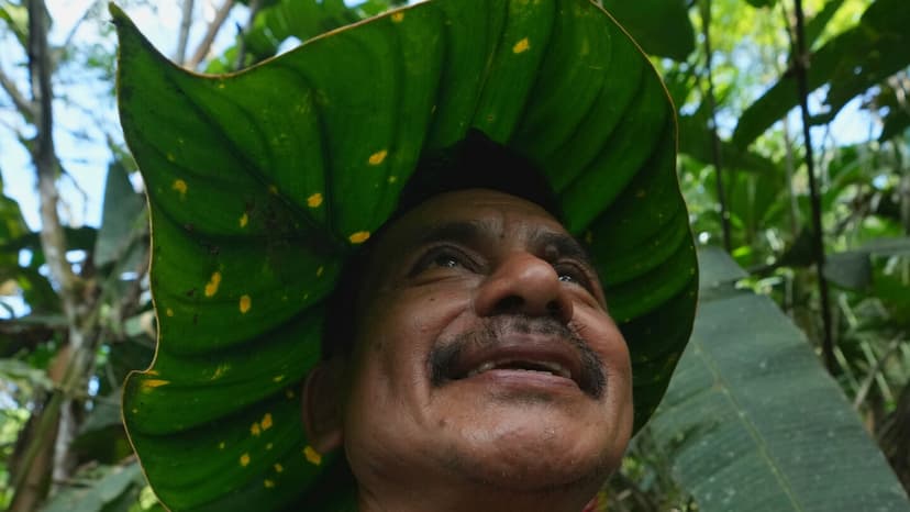 Amazon Family's Wild Mission: Saving Seeds, Defying Droughts