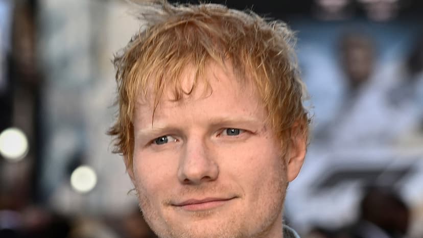 Sheeran Scraps Stage Over Fan Pelt Fear