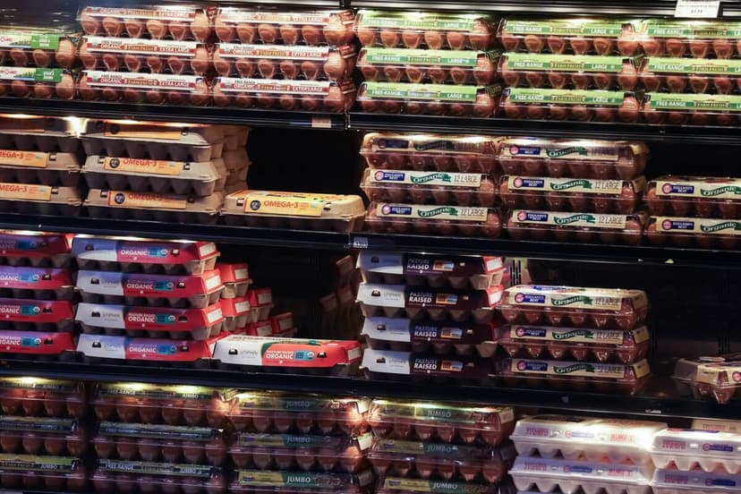 Egg Glut: From Scarcity to Surplus in One Year