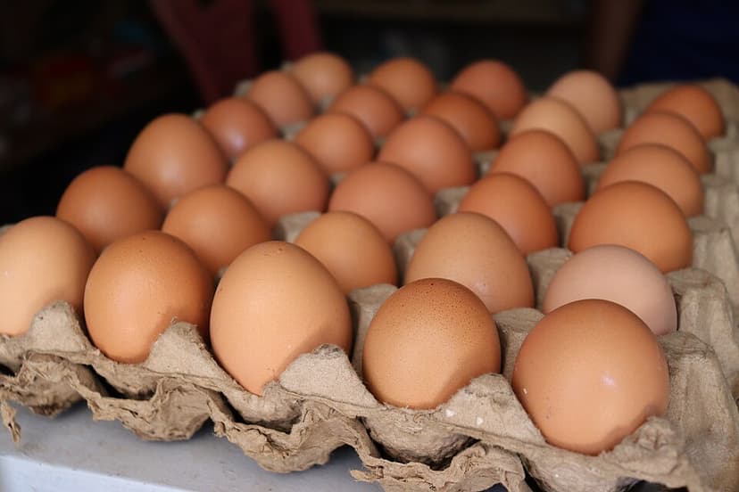 Millions of Eggs Recalled Over Salmonella Fears