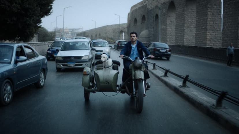 Saudi Arabia Fuels Egyptian Cinema's Global Rise