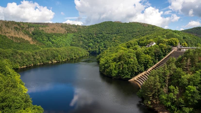 Eifel Park: Germany's Wild Heart Reborn