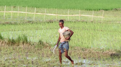 El Nino Looms: India's Monsoon in Peril?