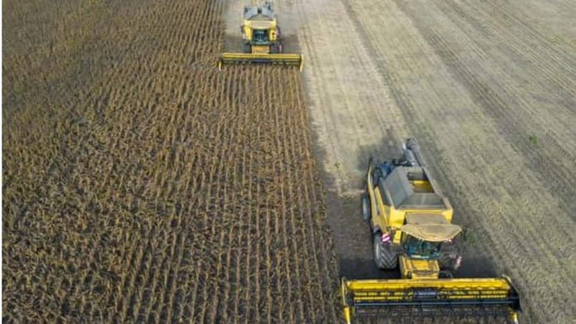 Super El Nino, War Threaten Global Food Prices Until 2028