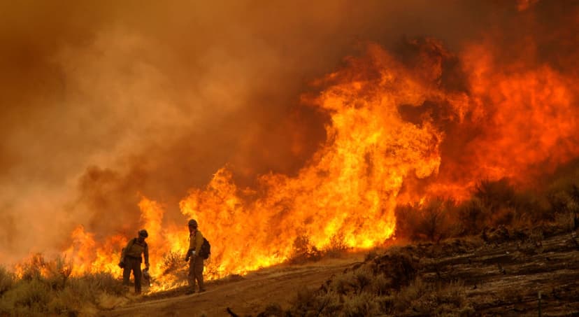 El Niño Fuels Wildfire Fears in Northern US